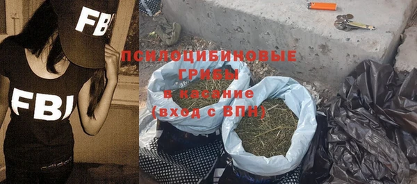 спайс Алексин