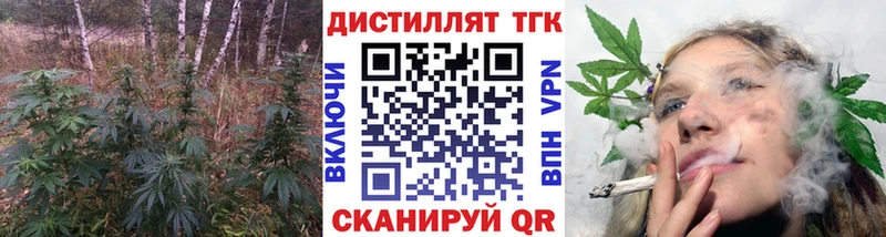 закладки  Новая Ладога  Дистиллят ТГК THC oil 