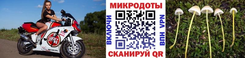 Псилоцибиновые грибы мухоморы  Новая Ладога 